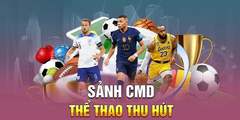 CMD thể thao đẳng cấp với số lượng hội viên tham gia đông đảo